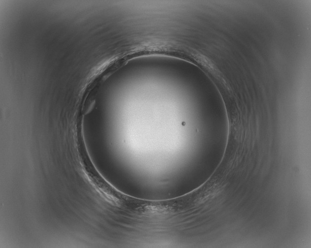 X0000060580442200511031340