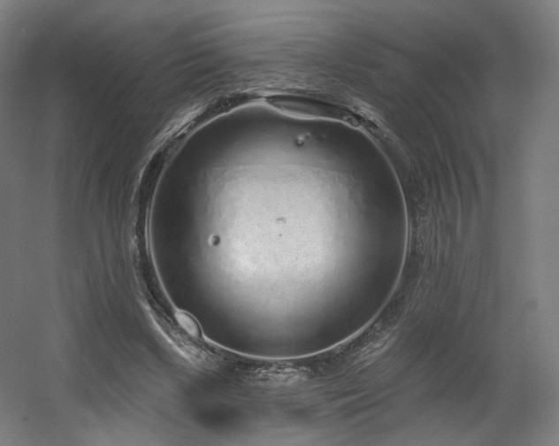 X0000060580443200511031340