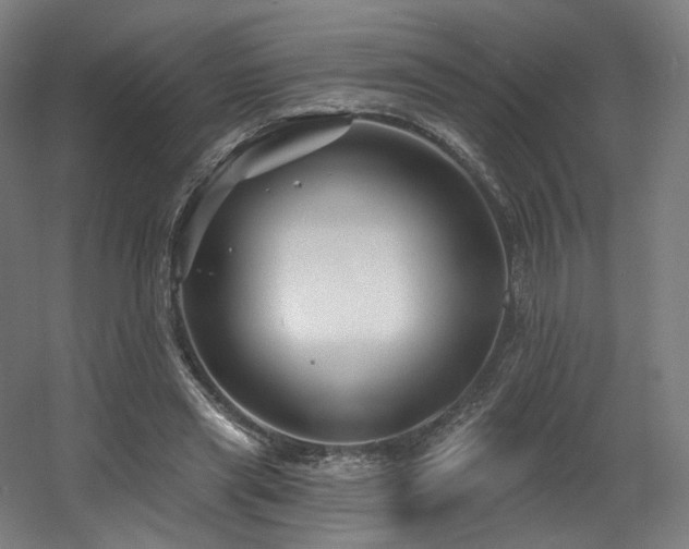 X0000060580445200511031340