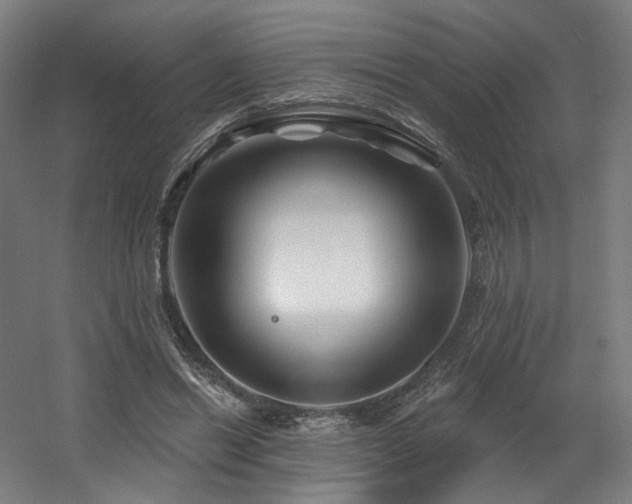 X0000060580446200511031340