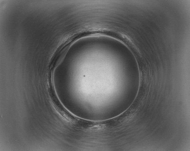 X0000060580447200511031340