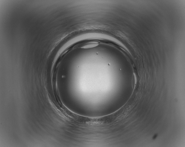 X0000060580448200511031340