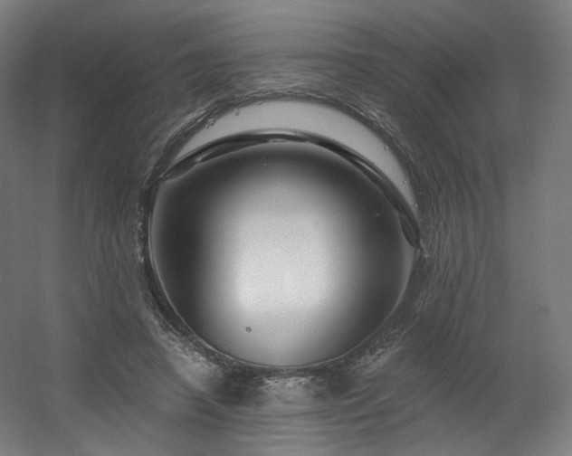 X0000060580450200511031340