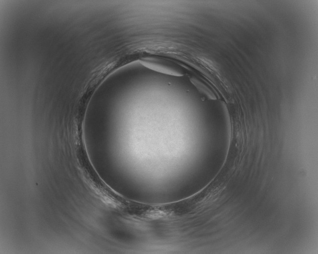 X0000060580453200511031340