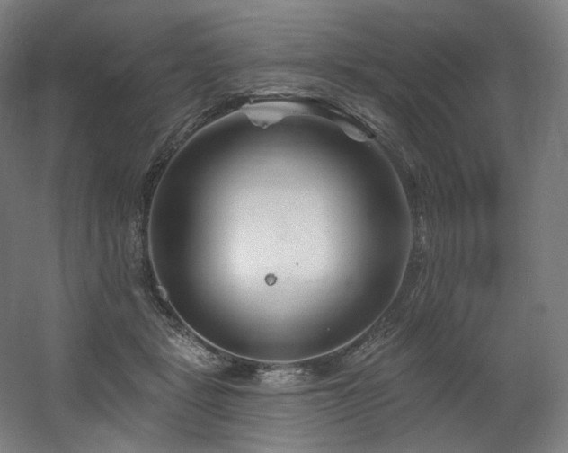 X0000060580461200511031340