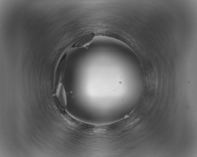 X0000060580462200511031340