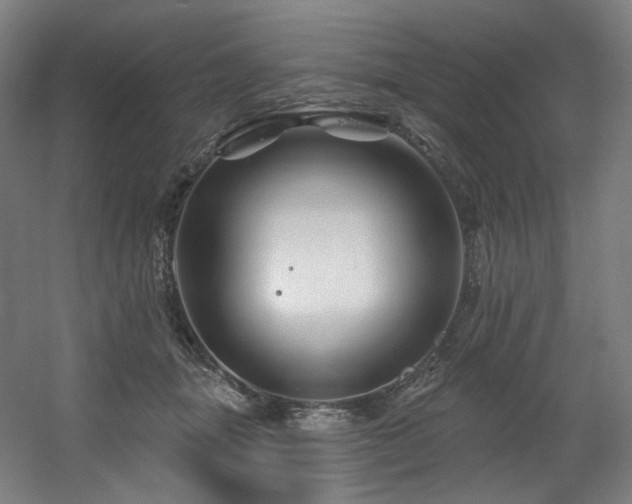 X0000060580463200511031340