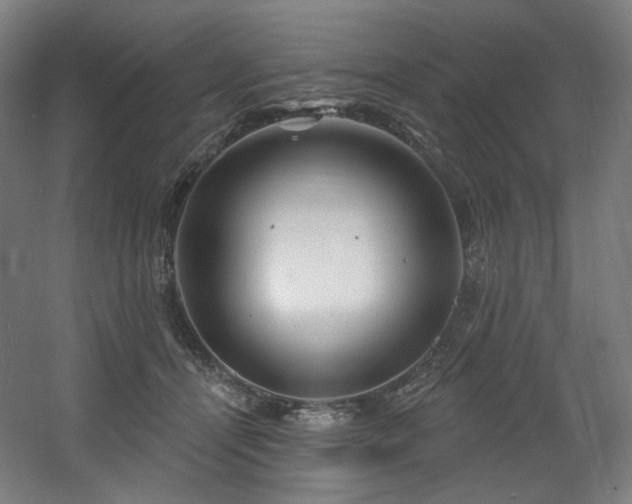 X0000060580464200511031340