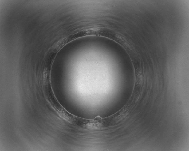 X0000060580468200511031340