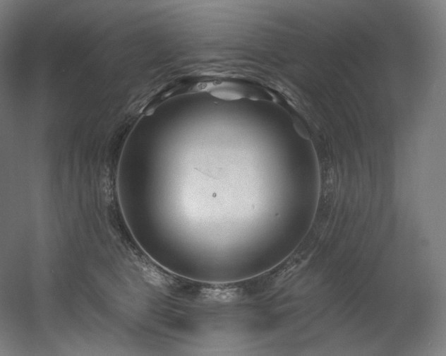 X0000060580469200511031340