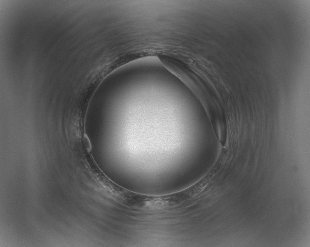 X0000060580470200511031341