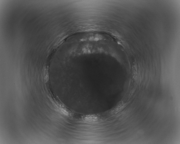 X0000060580471200511031341