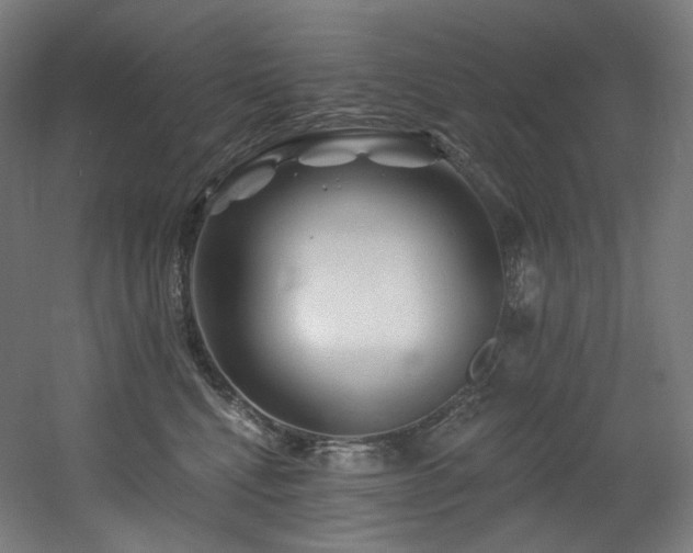 X0000060580472200511031341