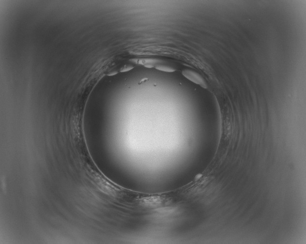 X0000060580473200511031341