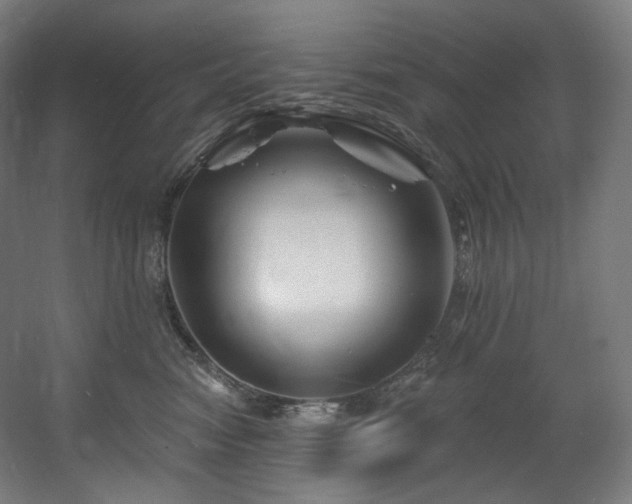 X0000060580474200511031341