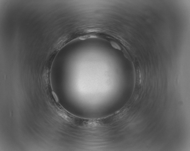 X0000060580475200511031341