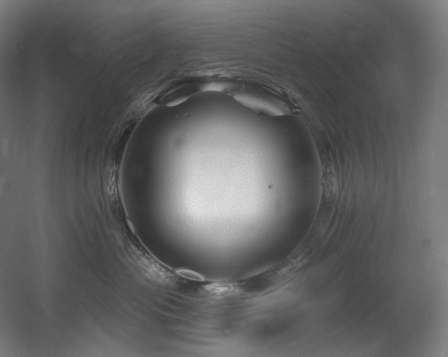 X0000060580477200511031341