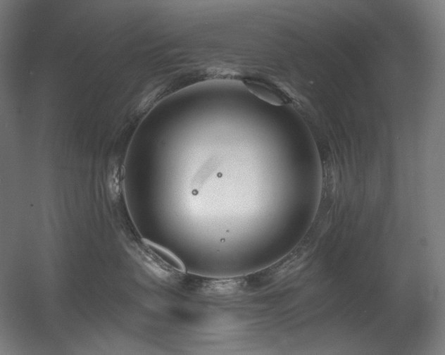 X0000060580479200511031341