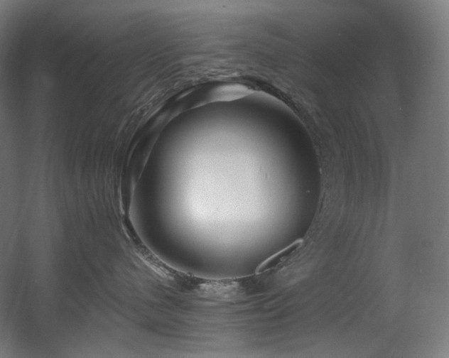 X0000060580480200511031341