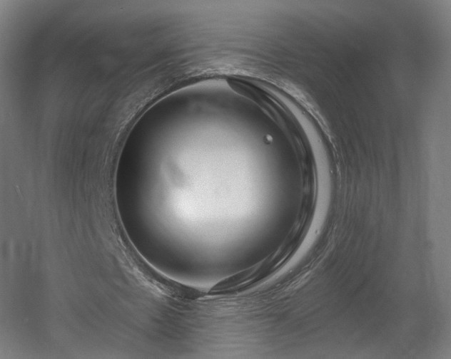 X0000060580481200511031340