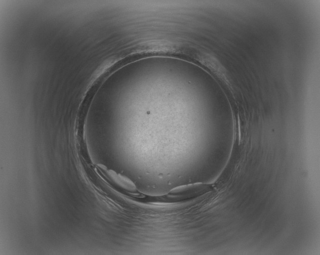 X0000060580483200511031340