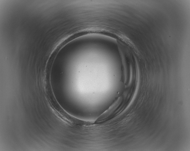 X0000060580484200511031340