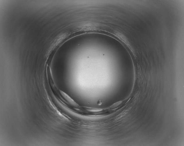 X0000060580485200511031340