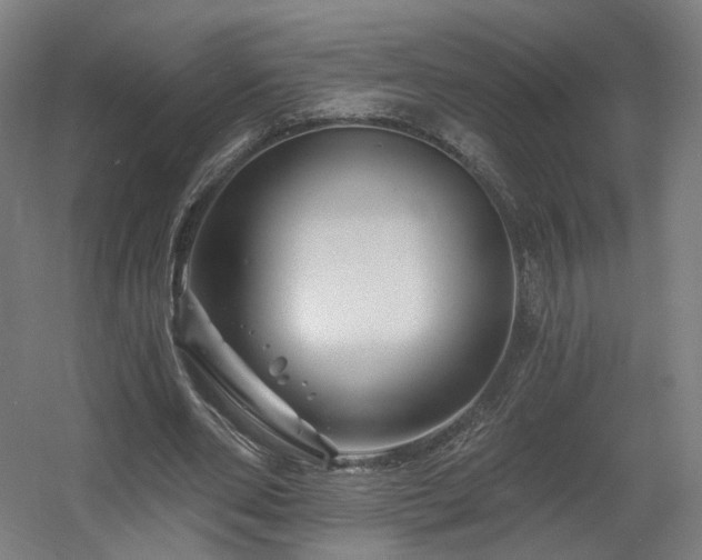 X0000060580486200511031340