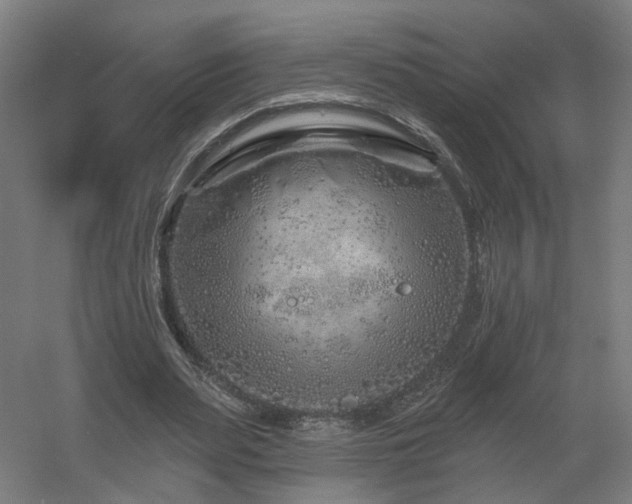 X0000060580487200511031340