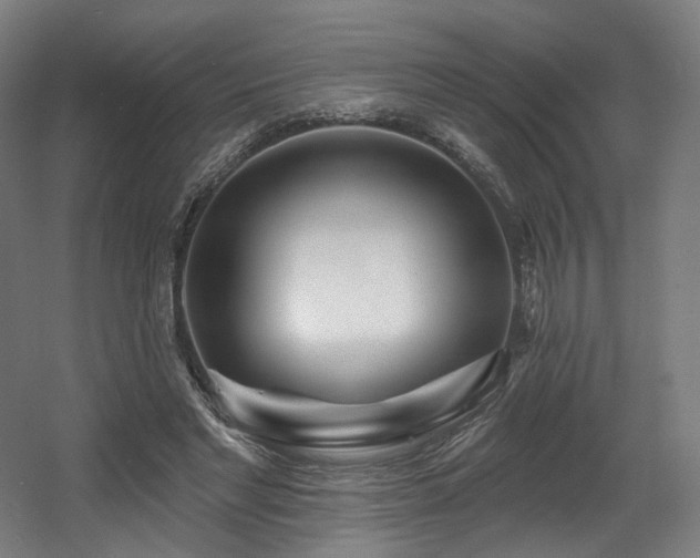 X0000060580493200511031340