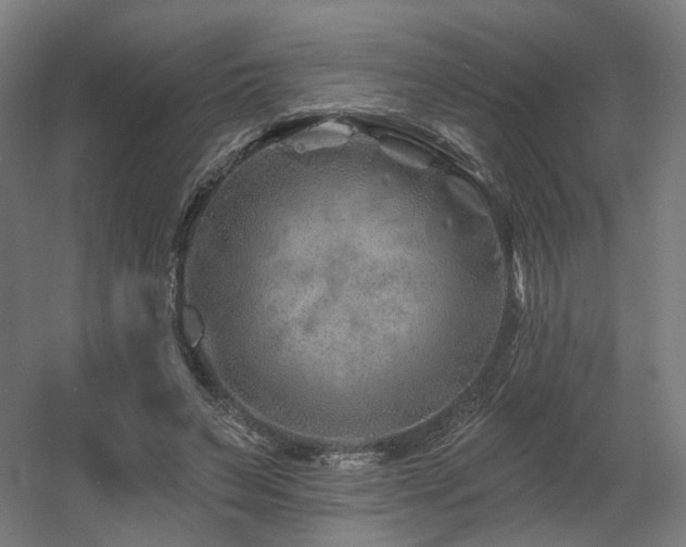 X0000060580495200511031340