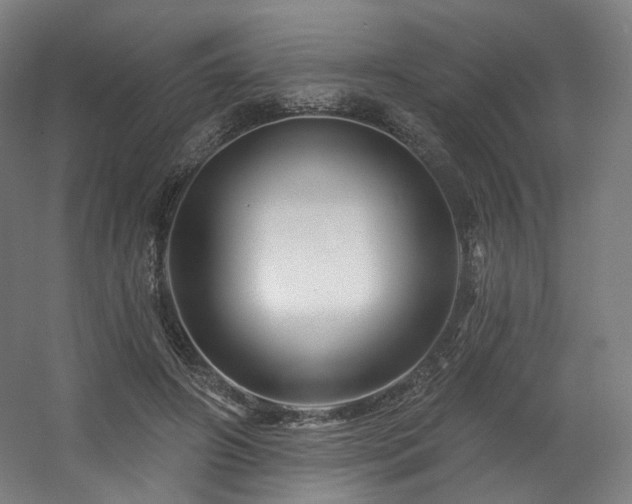 X0000060580498200511031340