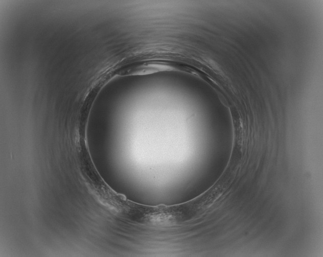 X0000060580500200511031340