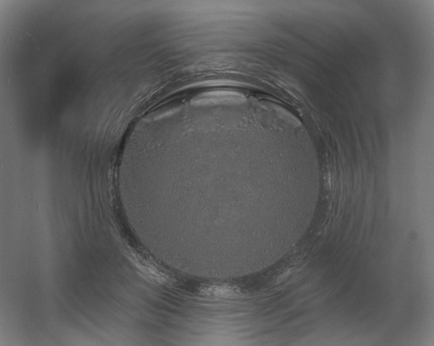 X0000060580503200511031339