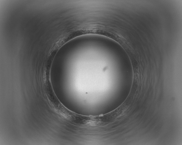 X0000060580504200511031339