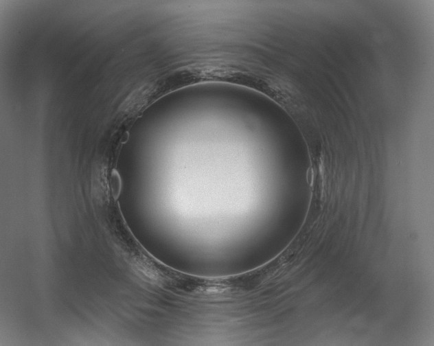 X0000060580506200511031339