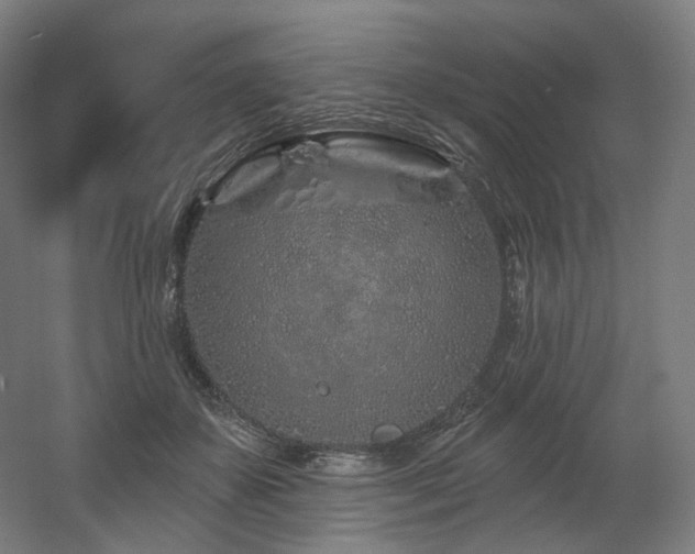 X0000060580507200511031339