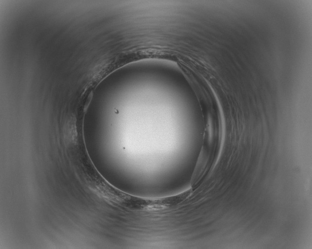 X0000060580508200511031339