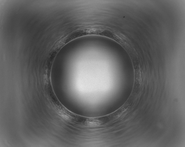 X0000060580510200511031339