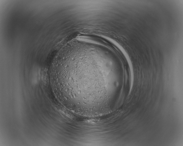 X0000060580511200511031339