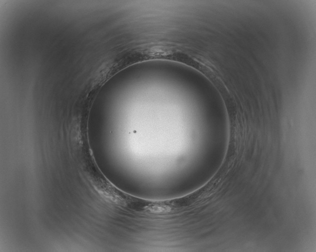 X0000060580512200511031339