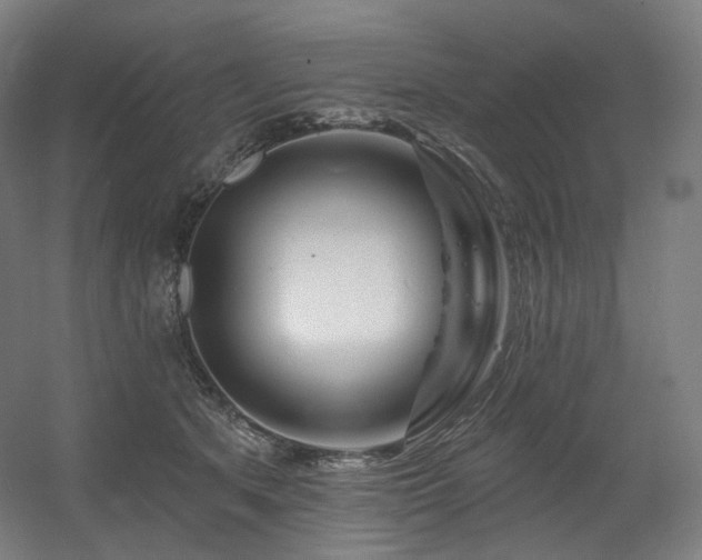 X0000060580513200511031339