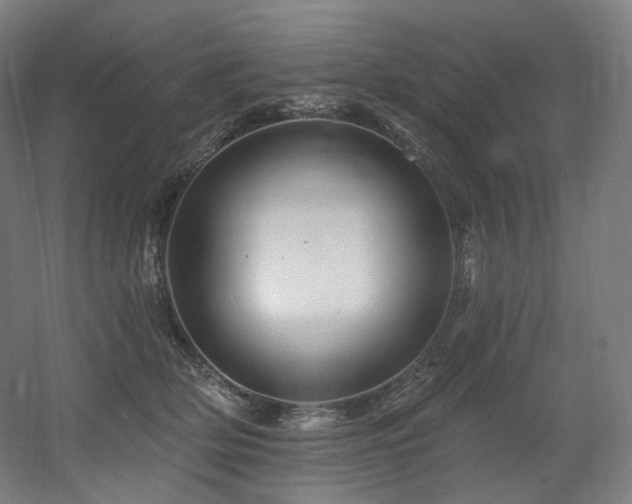 X0000060580514200511031339