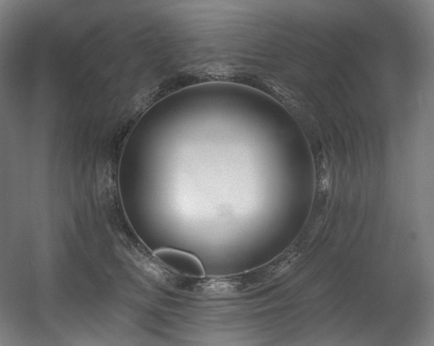 X0000060580518200511031339