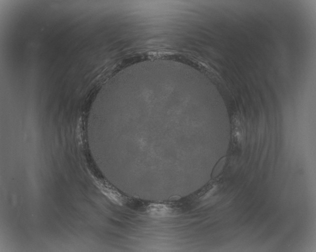 X0000060580519200511031339