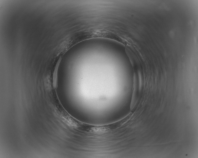 X0000060580520200511031339