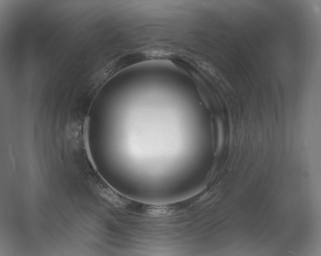 X0000060580521200511031339