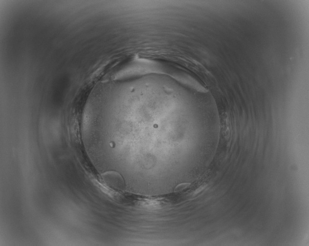 X0000060580523200511031339