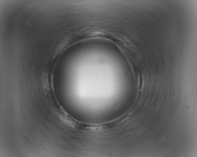 X0000060580524200511031339