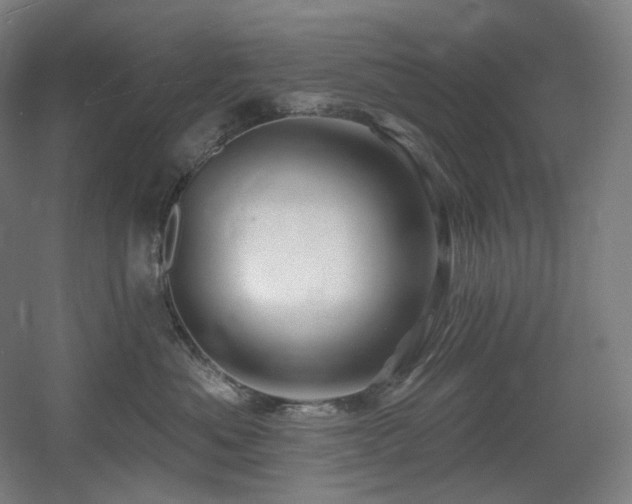 X0000060580525200511031339